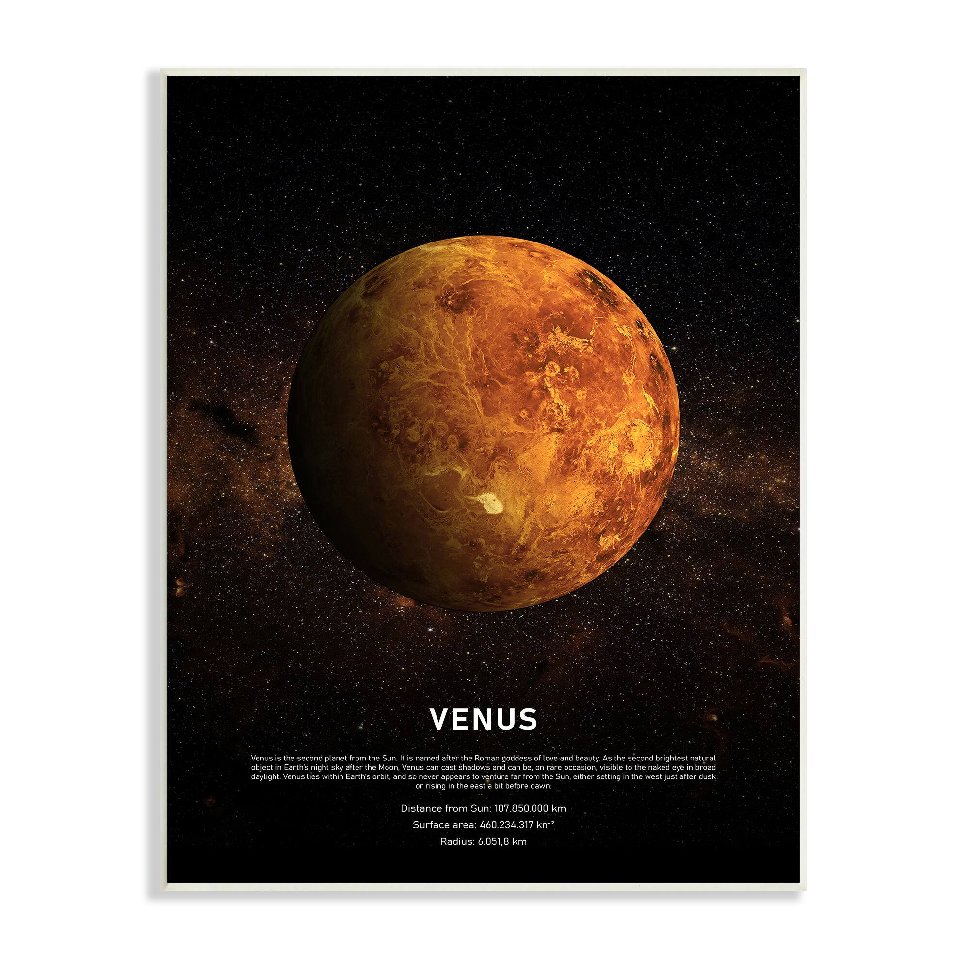 Stupell Industries Venus Astronomical Facts Wall Plaque